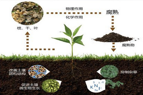 土壤有机质对土壤肥力的七大作用